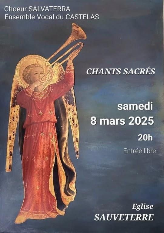 Affiche sauveterre 8 03 2025